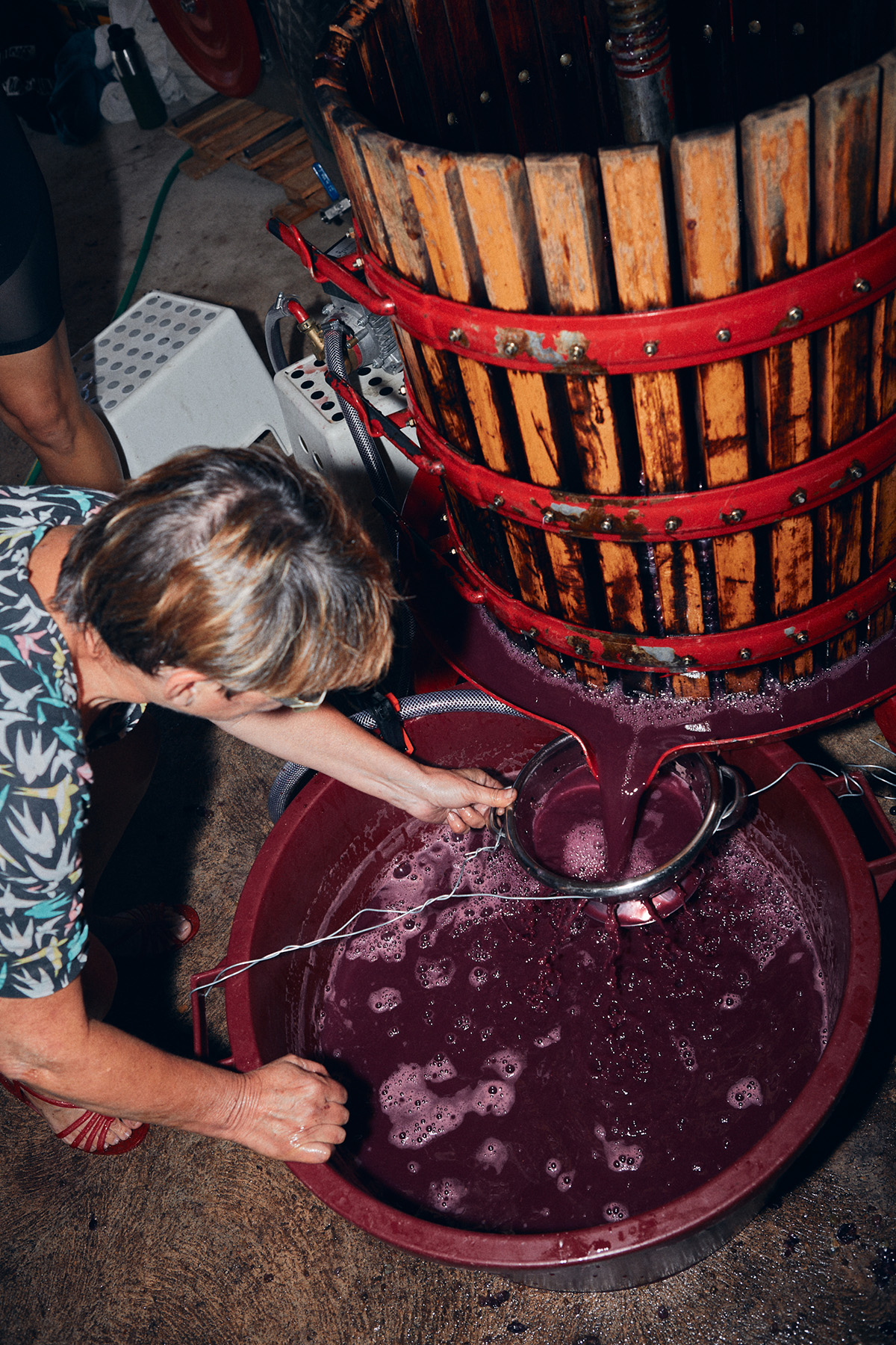 Prensar Suc Suc Vino Natural Pressing Suc Suc wine Work in Progress